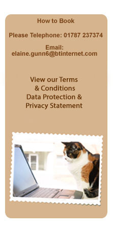 Paws Awhile Boarding Cattery Booking Conditions